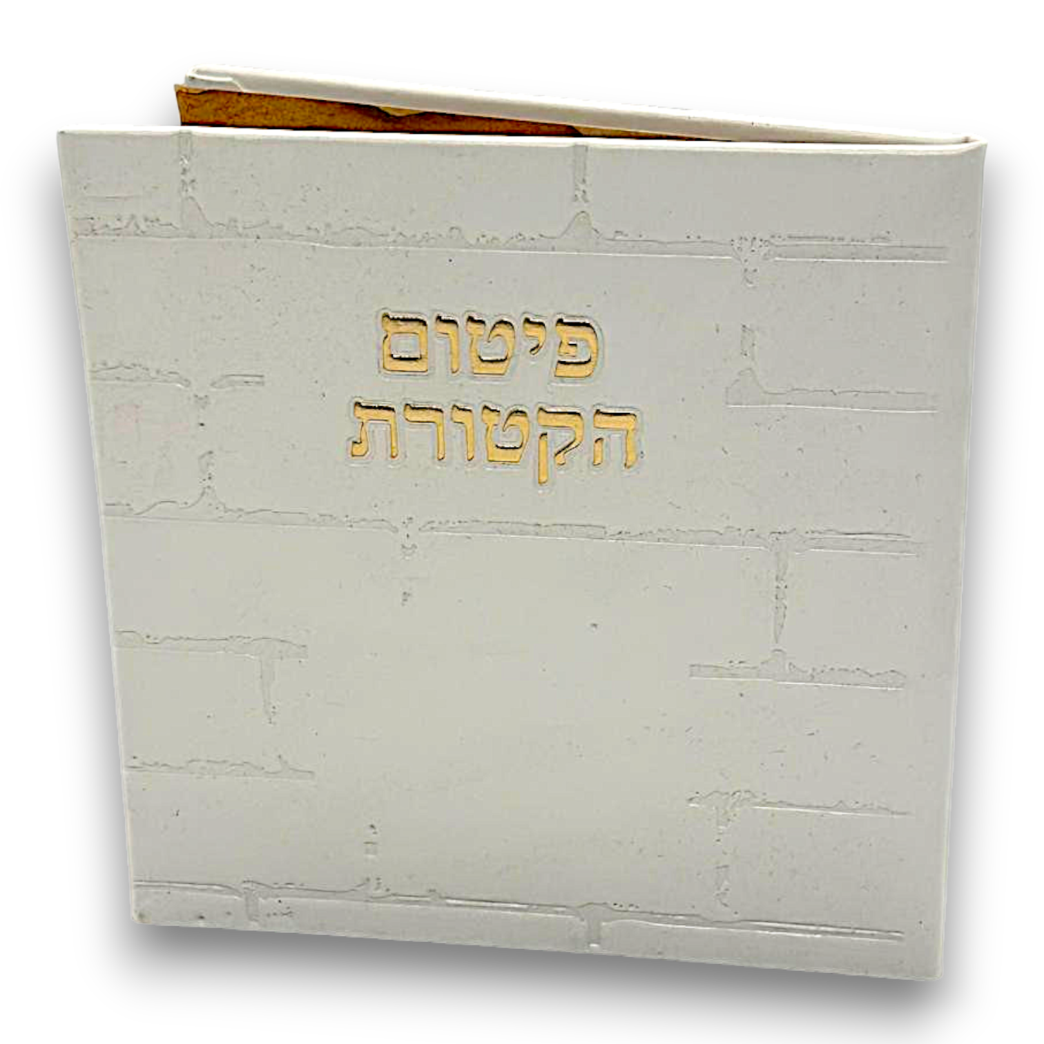 transparent-Photoroom - 2026-05-19T082619.843